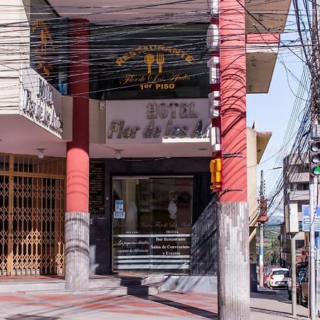 Hotel Flor De Los Andes Tulcán 外观 照片